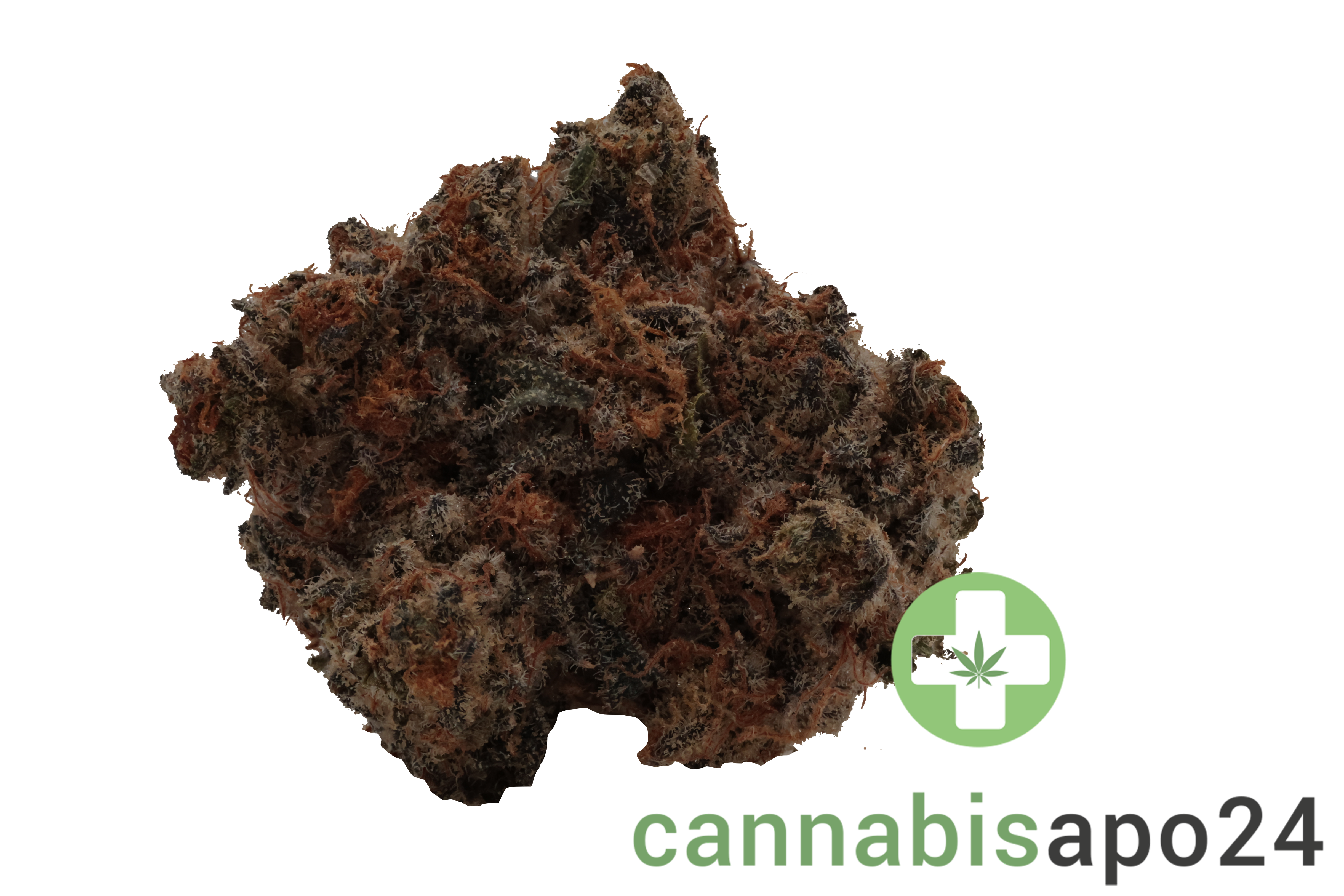 Cookies 2.0 Hawaiian Rain 28/1 CAN