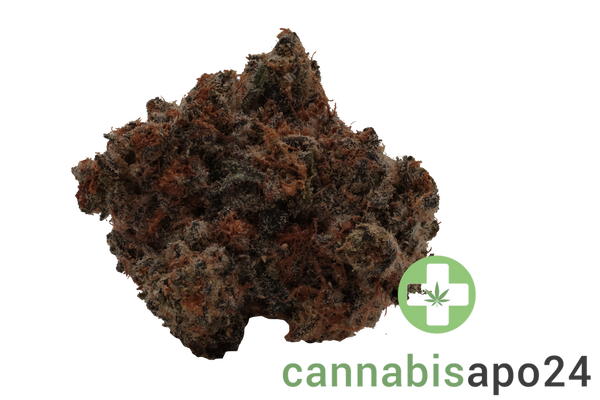 Cookies 2.0 Hawaiian Rain 28/1 CAN