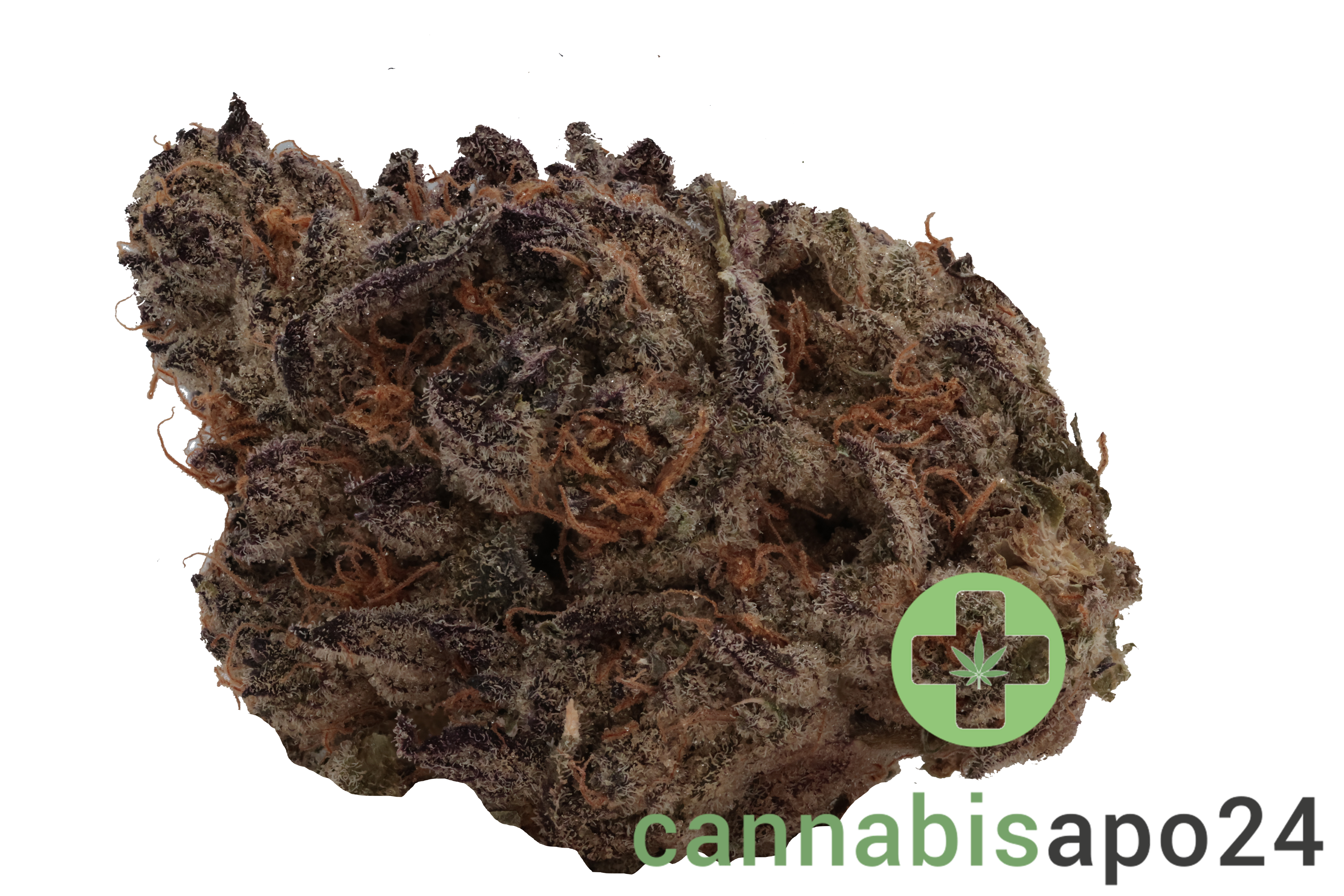 Demecan Craft Electron 28/1 Gelato OG Kush