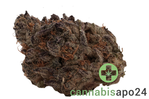 Demecan Craft Electron 28/1 Gelato OG Kush