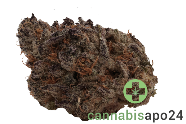 Demecan Craft Electron 28/1 Gelato OG Kush