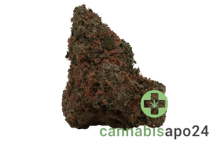 Demecan CV Regular Drop 25/1 Moby Dick