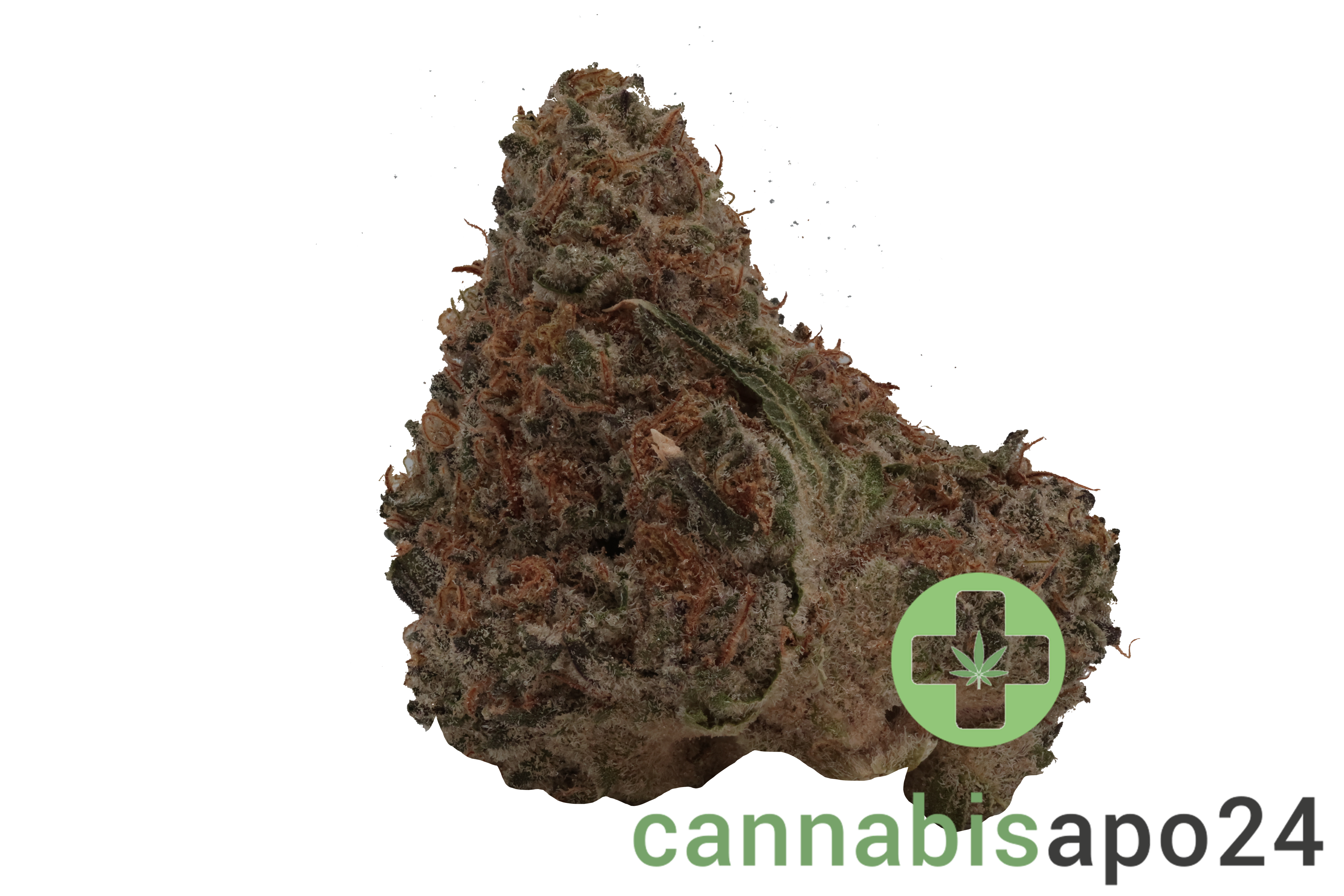 RF Epic Drop Gelato x OG Kush
