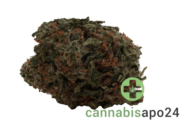 Enua 30/1 8BK CA 8 Ball Kush