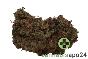 Enua 30/1 CCK CA Cold Creek Kush