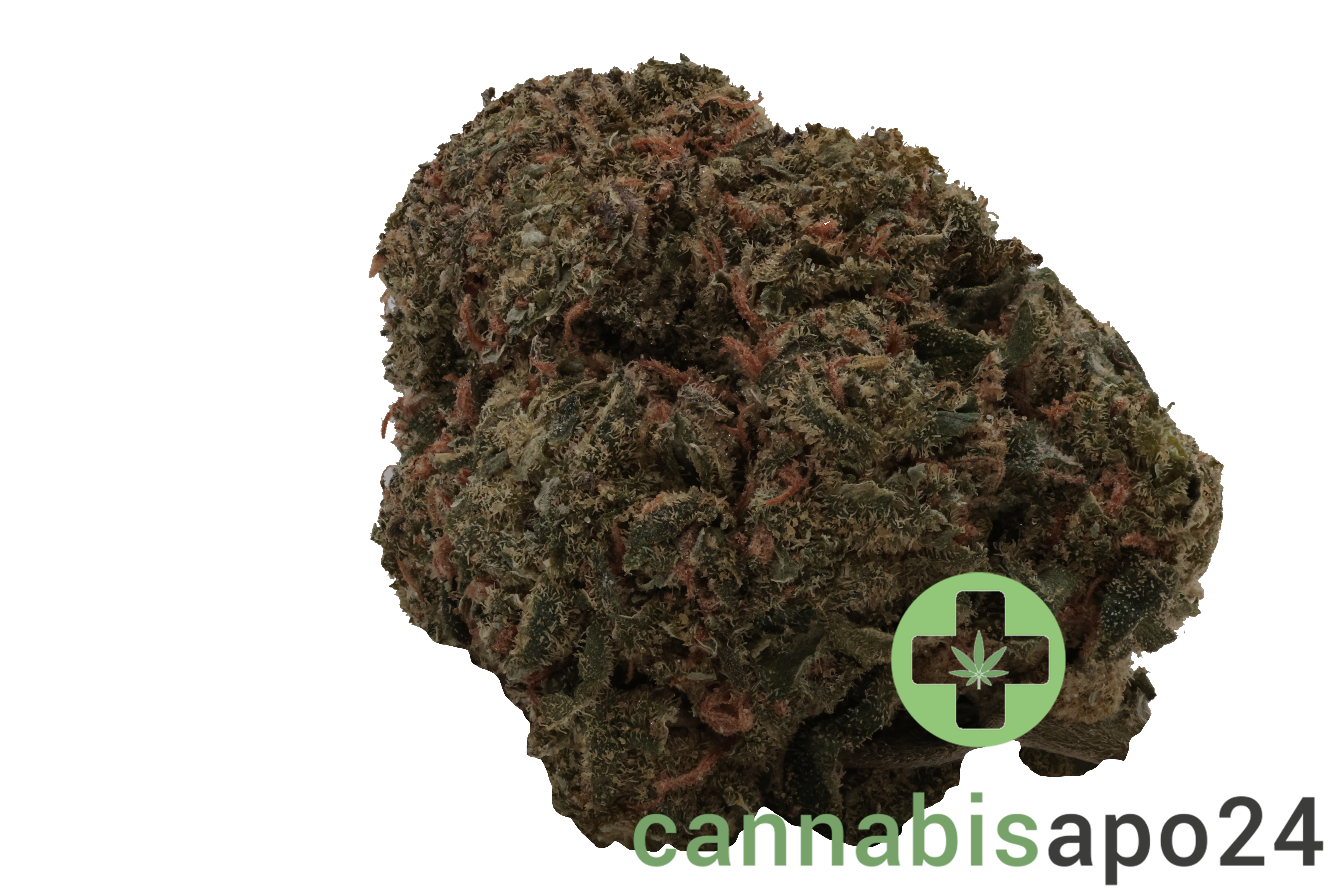 Enua 30/1 LHZ CA Lemonade Haze