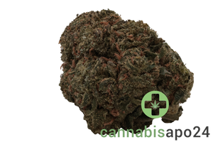Enua 30/1 LHZ CA Lemonade Haze
