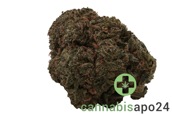 Enua 30/1 LHZ CA Lemonade Haze