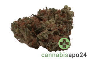 Enua 30/1 ZKM CA Zkittlez Kushmints