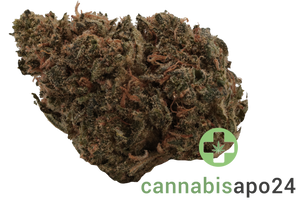 Good Supply THC22 SNL Snow Leopard