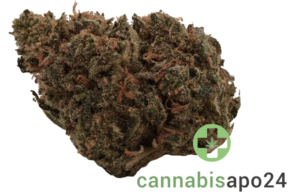 Good Supply THC22 SNL Snow Leopard