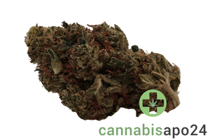 Good Supply THC25 MRG Meringue 64