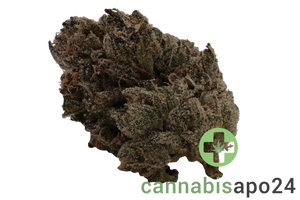 Cannamedical Sativa forte NM Goofiez