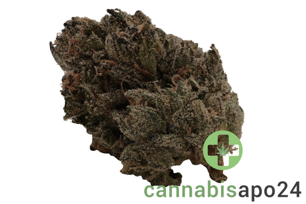 Cannamedical Sativa forte NM Goofiez