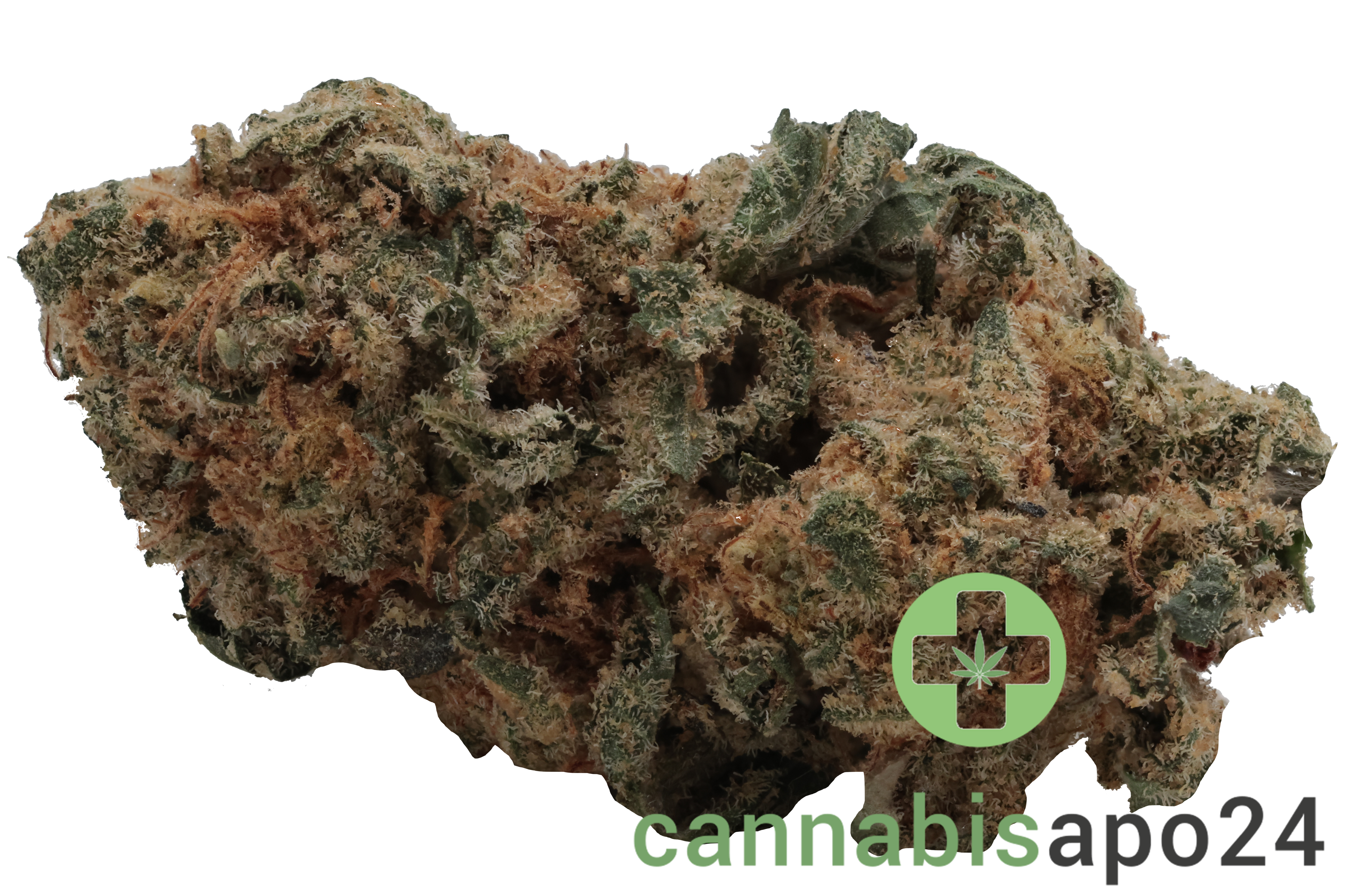 GROW RO 24 Moon Rocks