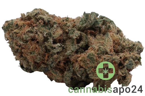 GROW RO 24 Moon Rocks