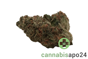 Hycann KCO 27/1 CA Kush Cookies