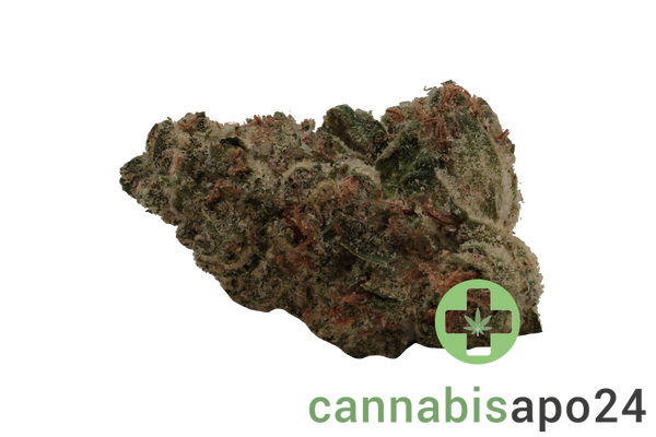 Hycann KCO 27/1 CA Kush Cookies