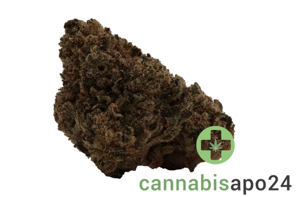 IMC Gum THC26 Clownz
