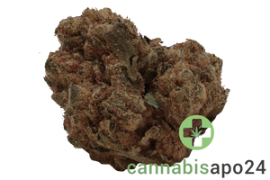 IMC TKH THC27 Pineapple Express