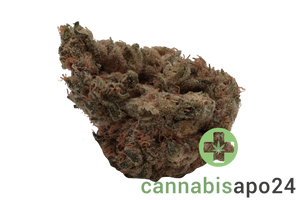 J.R. Strain 25/1 GT Garlic Truffle