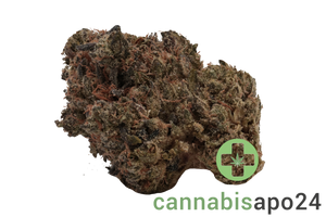 J.R. Strain 27/1 SUDZ