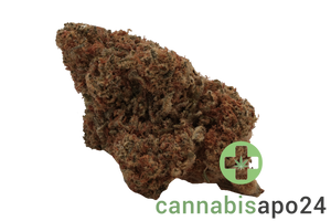 Mediprocan African Ruby 20/1 - Mimosa