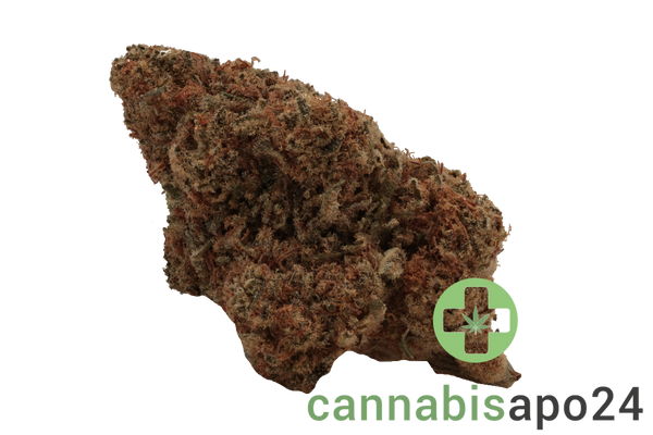 Mediprocan African Ruby 20/1 - Mimosa