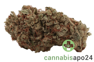 Mediprocan African Ruby 26/1 - Sour OG Cheese