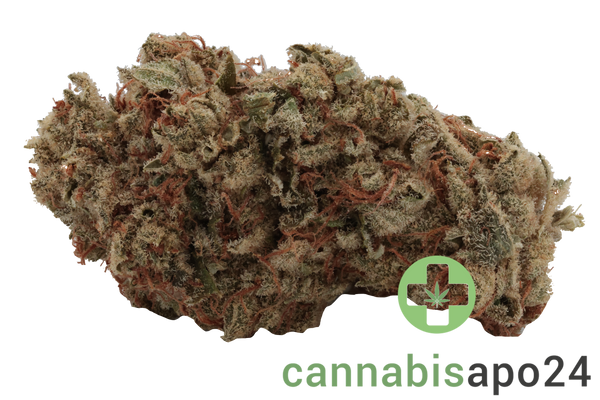 Mediprocan African Ruby 26/1 - Sour OG Cheese