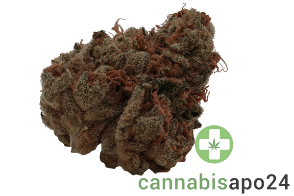 Mediprocan African Ruby 28/1 Tangy Diesel Cheese
