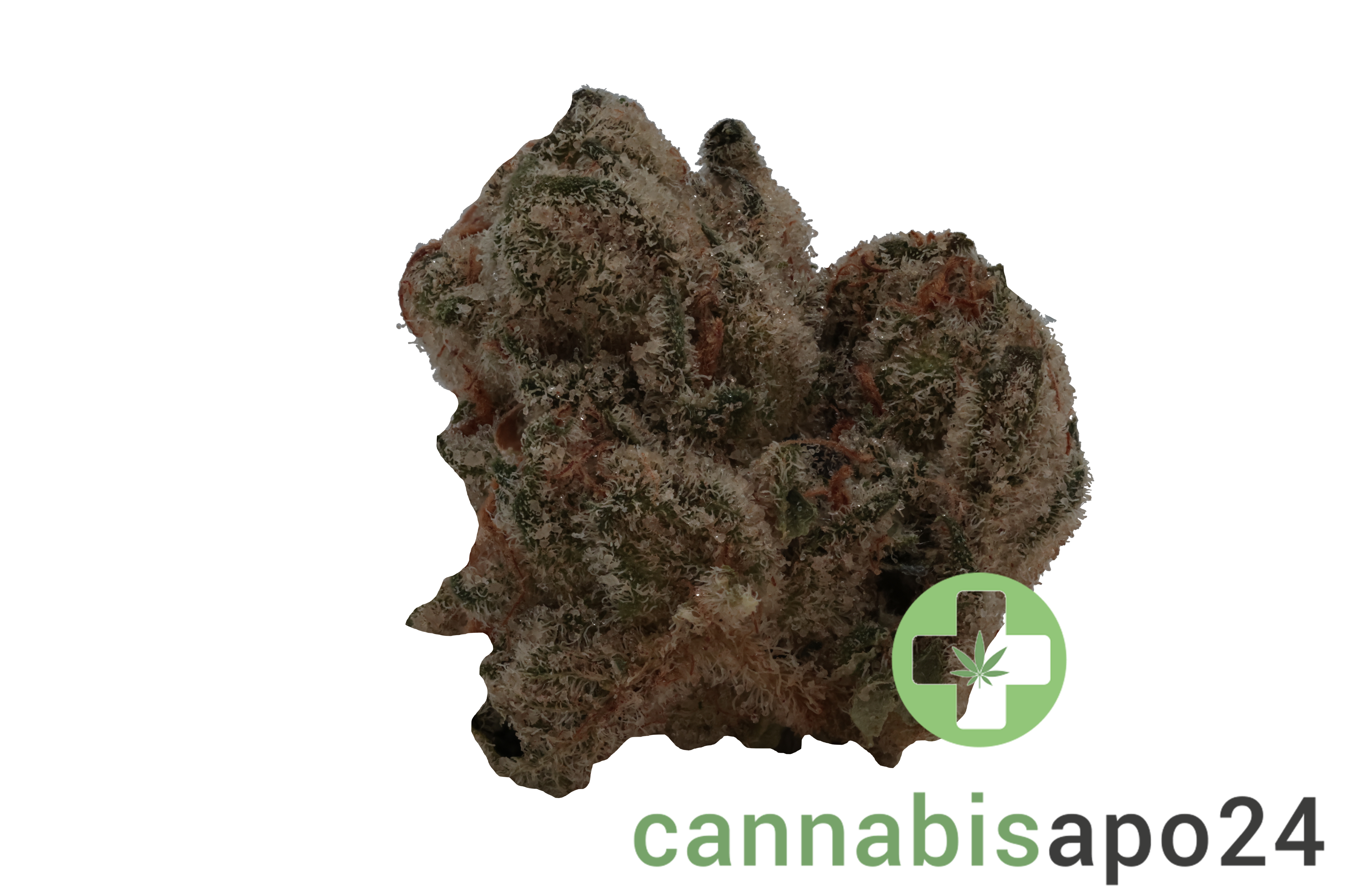 Nimbus easy 22/1 French Cookies