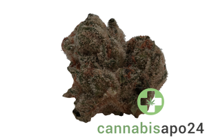 Nimbus easy 22/1 French Cookies