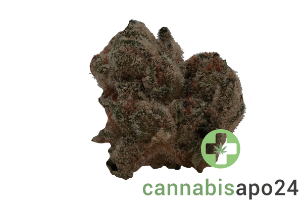 Nimbus easy 22/1 French Cookies