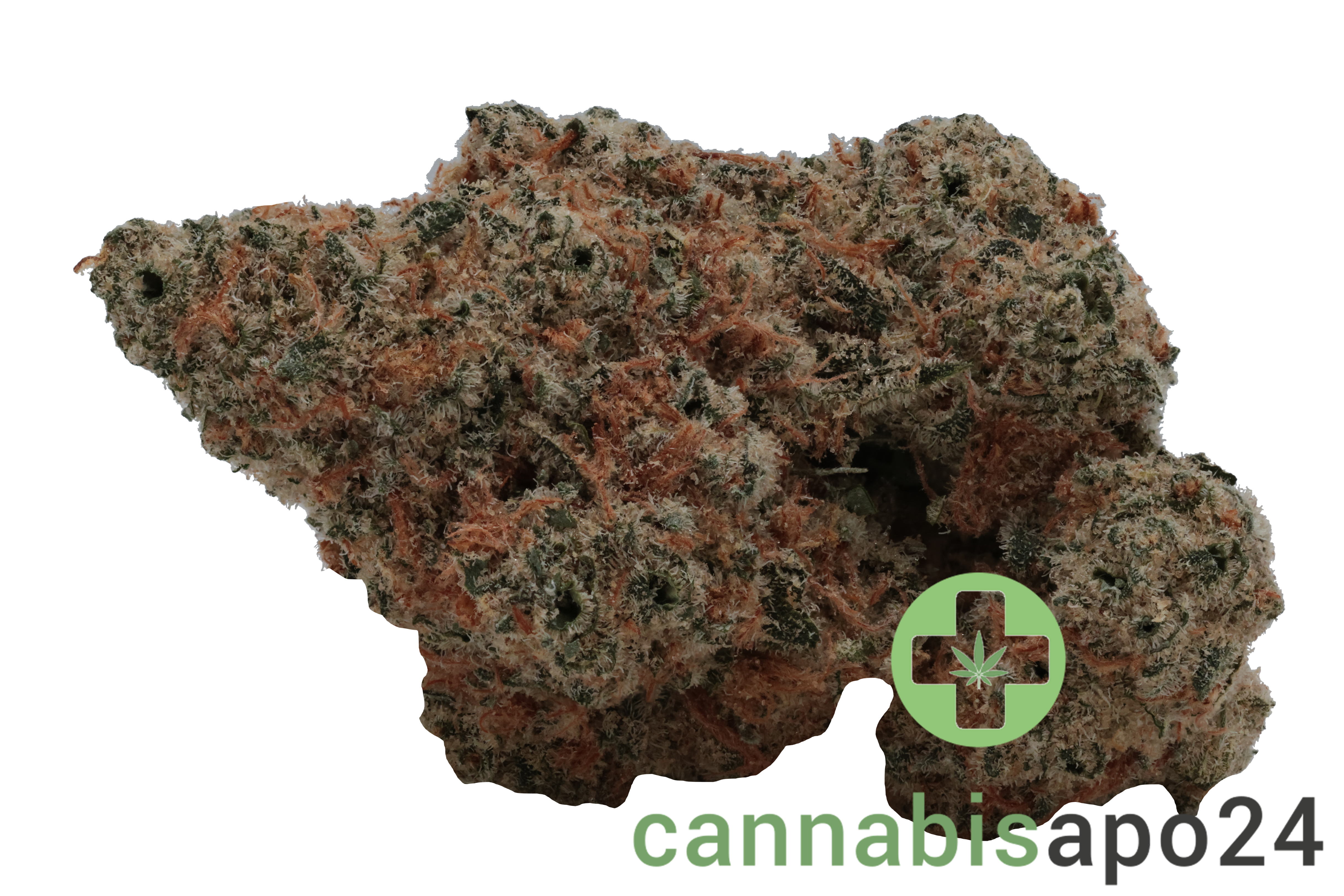 Oceanic BC 25/1 Black Cookies