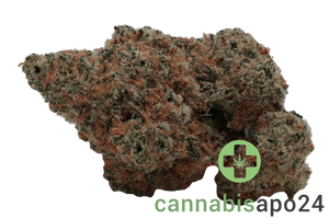 Oceanic BC 25/1 Black Cookies