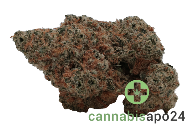 Oceanic BC 25/1 Black Cookies
