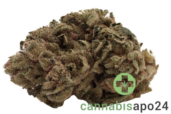 Remexian 20/1 MHI GG4 Gorilla Glue