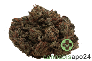 Remexian 24/1 GJY CHK Chem Kush