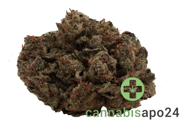 Remexian 24/1 GJY CHK Chem Kush