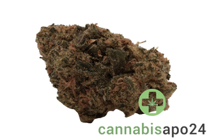 Remexian 27/1 JOI OKC Orange Kush Cake