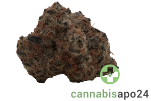 Remexian 27/1 JOI PPM Purple Punch Mints
