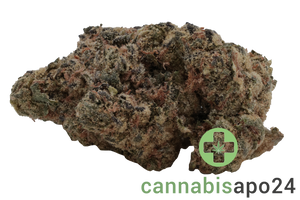Remexian 27/1 PRT SCK Strawberry Cookies