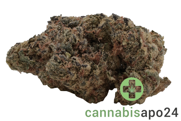 Remexian 27/1 PRT SCK Strawberry Cookies
