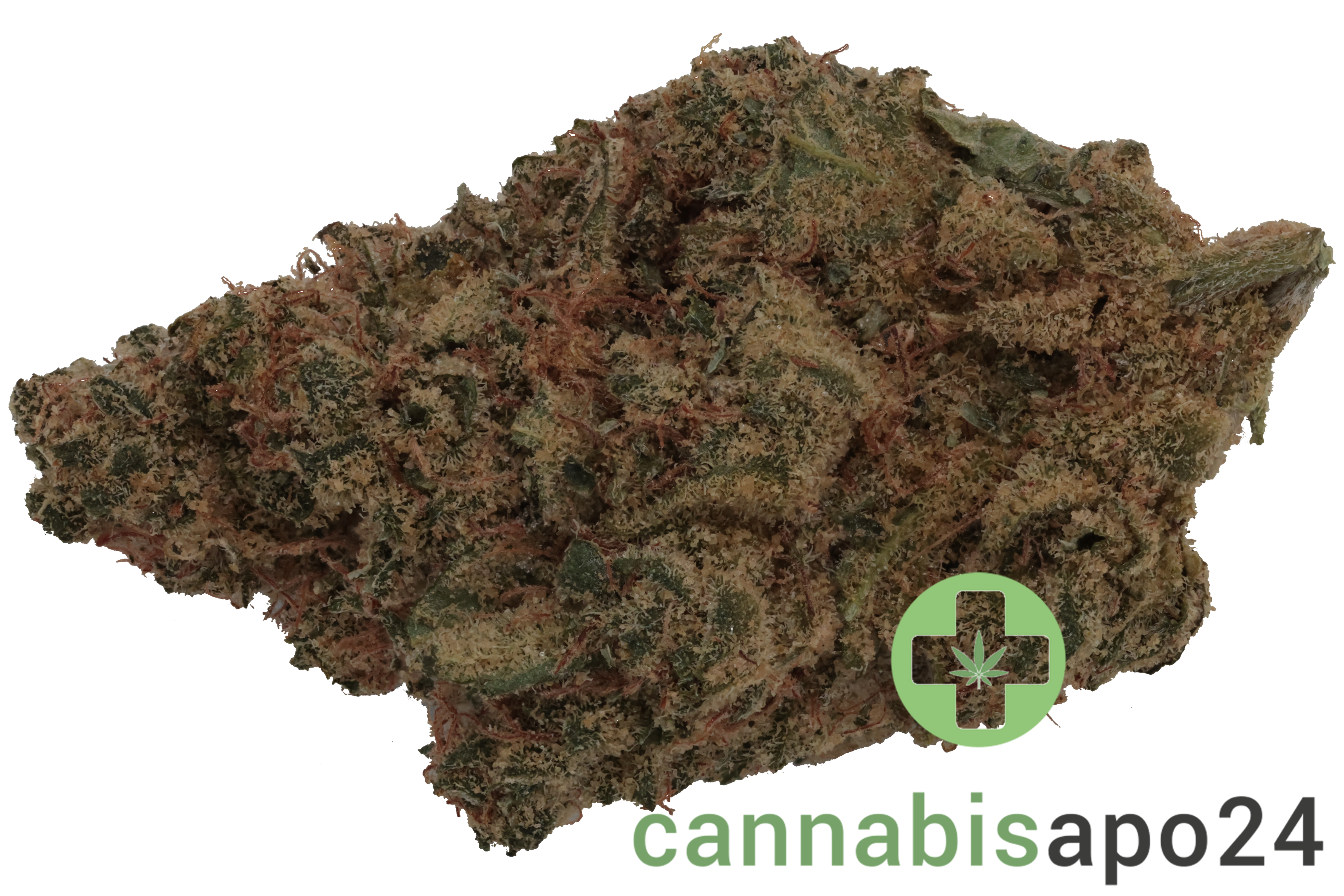 Remexian 27/1 GCC CCK Cold Creek Kush