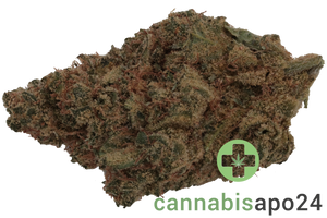 Remexian 27/1 GCC CCK Cold Creek Kush