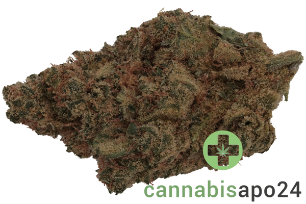 Remexian 27/1 GCC CCK Cold Creek Kush