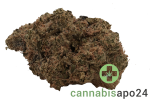 Remexian 33/1 JOI OKC Orange Kush Cake