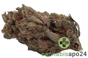 Social Choice! 15/1 AUR LDO Lemon Diamond OG