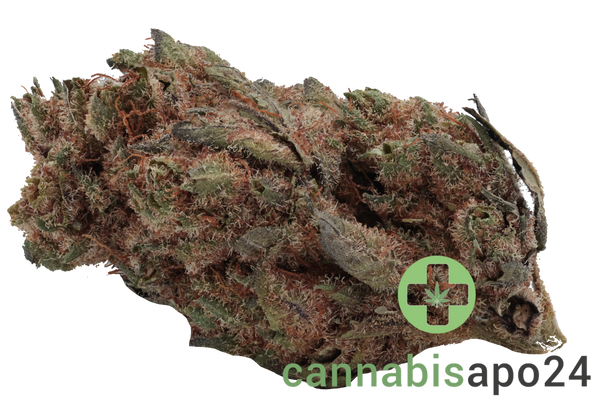 Social Choice! 15/1 AUR LDO Lemon Diamond OG